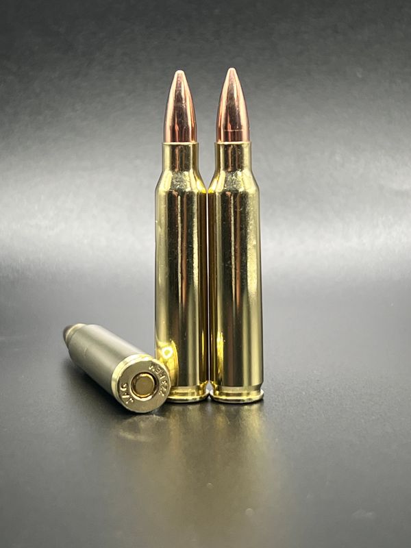 ACRI .223 62gr FMJ, 50ct