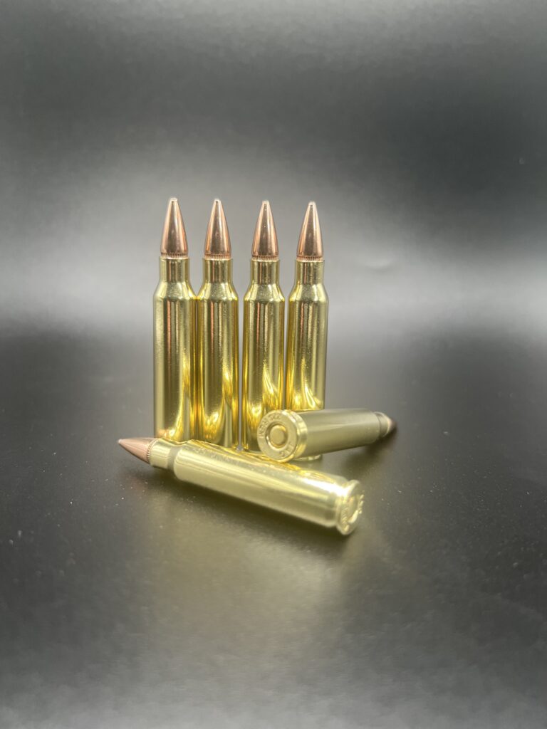 ACRI .223 Remington 55gr FMJ, New